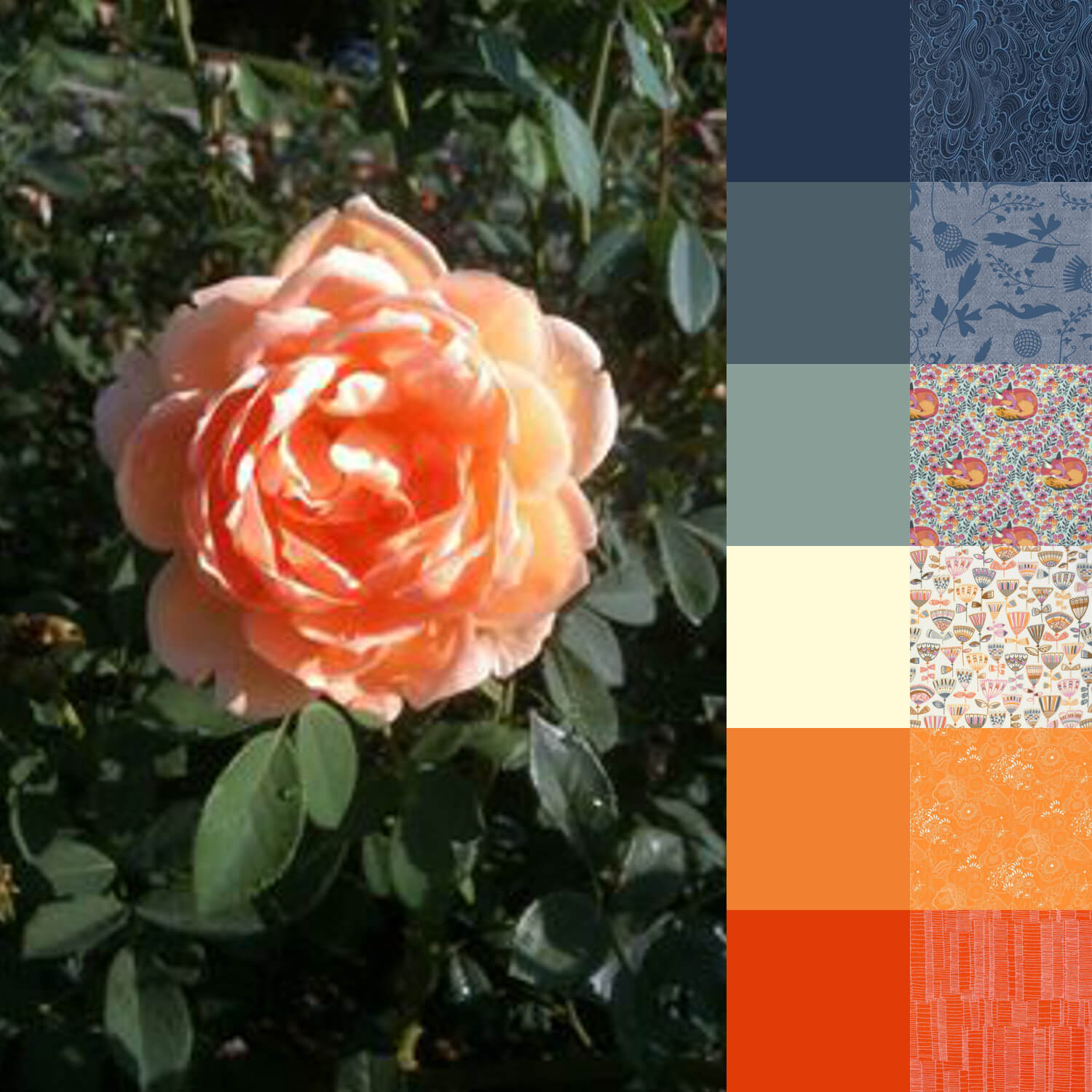 Tulsa Rose Garden Palette and Bundle