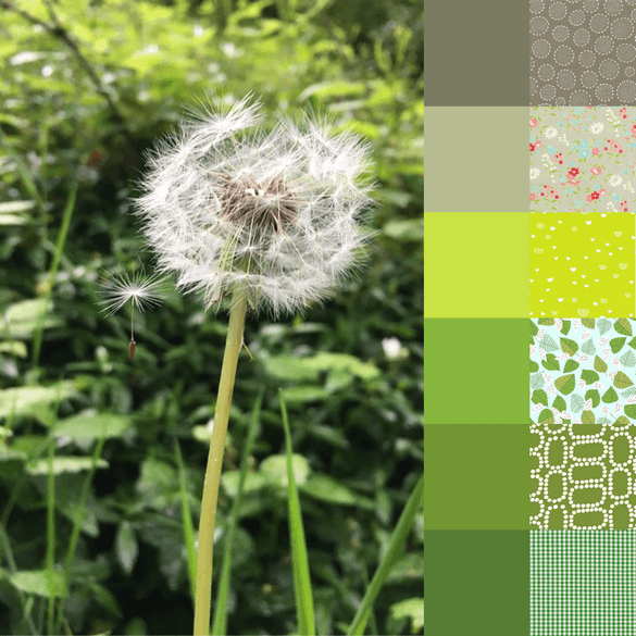 Dandelion palette and Bundle