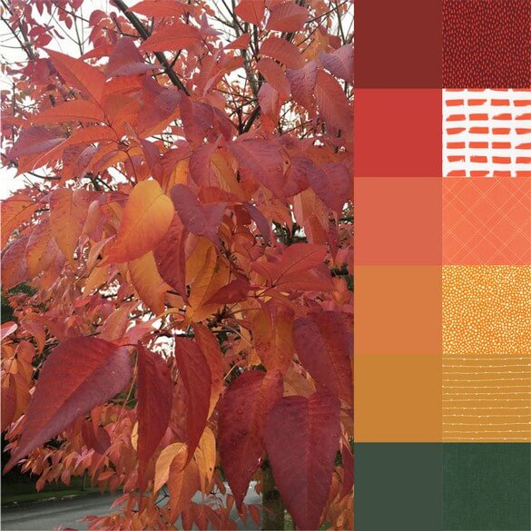 fall-walk-palette-and-bundle