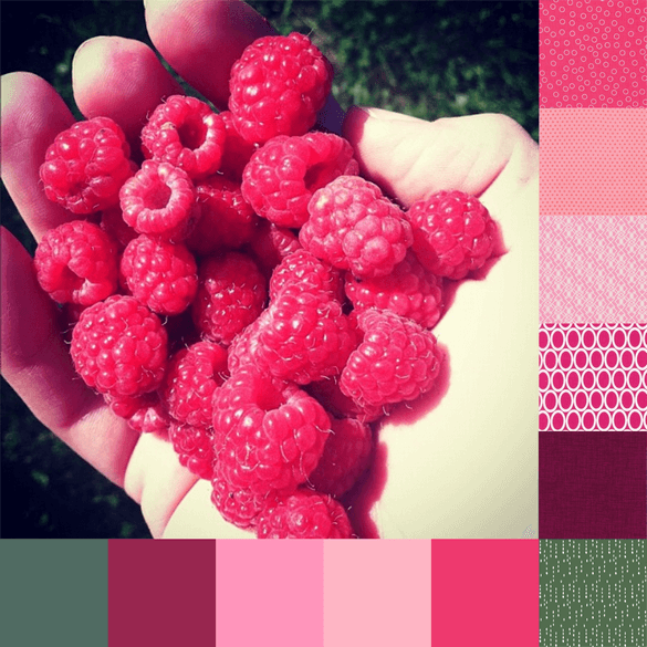 Raspberries Palette and Bundle